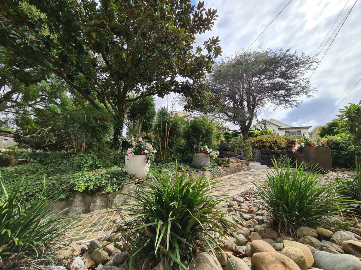 Bamboo House, Close To The City & Airport & Train Station And Brighton Le Sands Beach ซิดนีย์ ภายนอก รูปภาพ